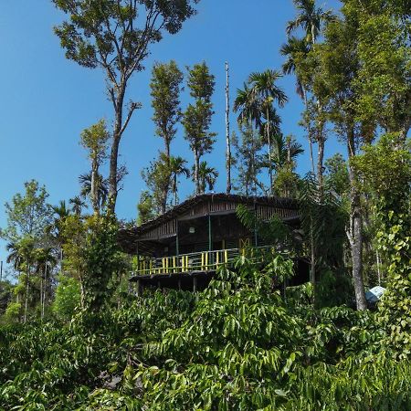 The Mountain Tree Home Wayanad Eksteriør bilde