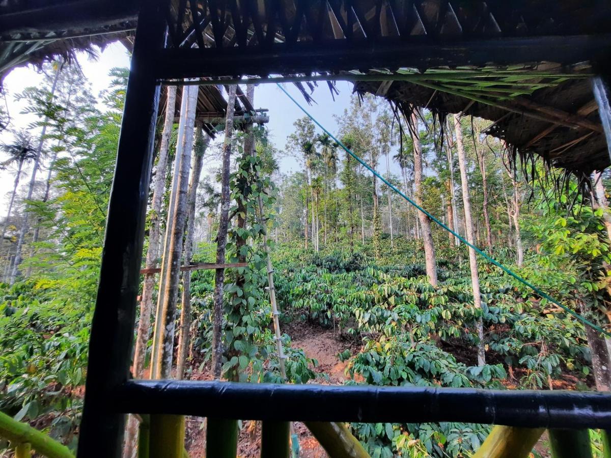 The Mountain Tree Home Wayanad Eksteriør bilde