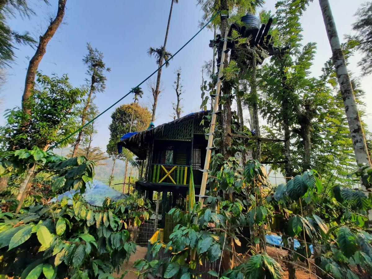 The Mountain Tree Home Wayanad Eksteriør bilde