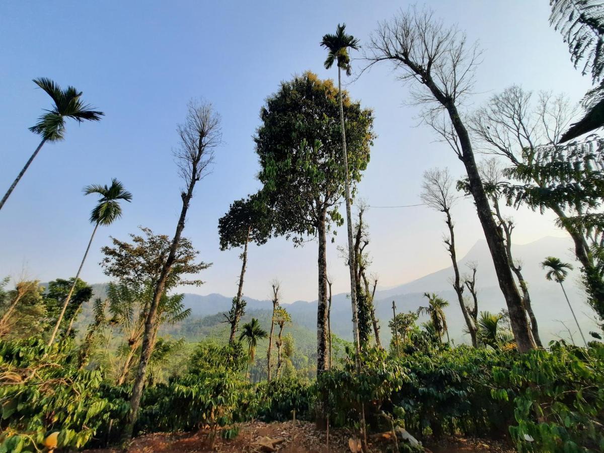 The Mountain Tree Home Wayanad Eksteriør bilde