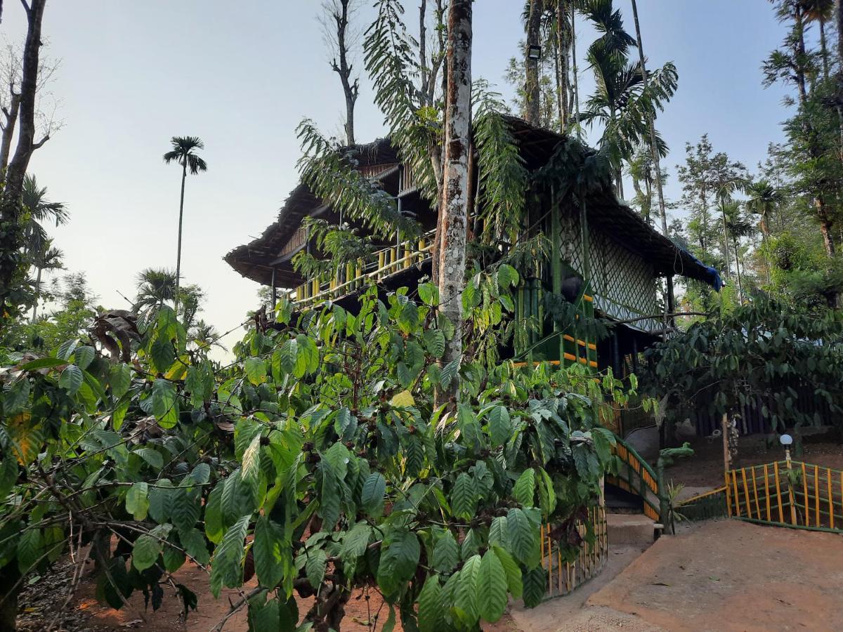 The Mountain Tree Home Wayanad Eksteriør bilde