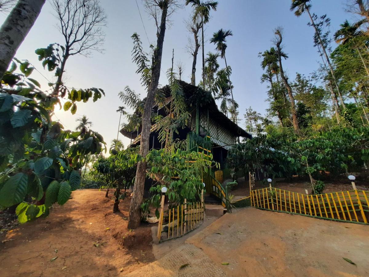 The Mountain Tree Home Wayanad Eksteriør bilde