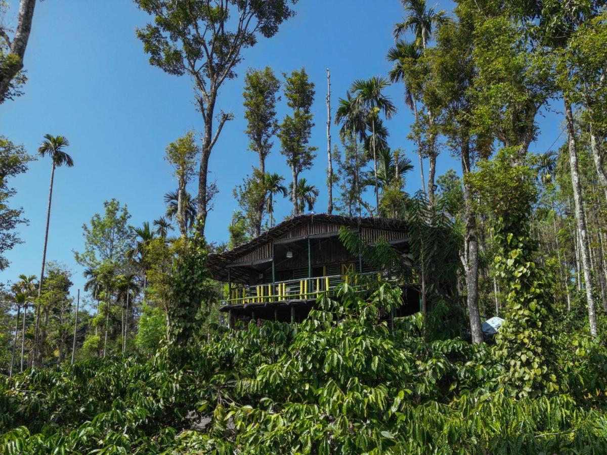The Mountain Tree Home Wayanad Eksteriør bilde