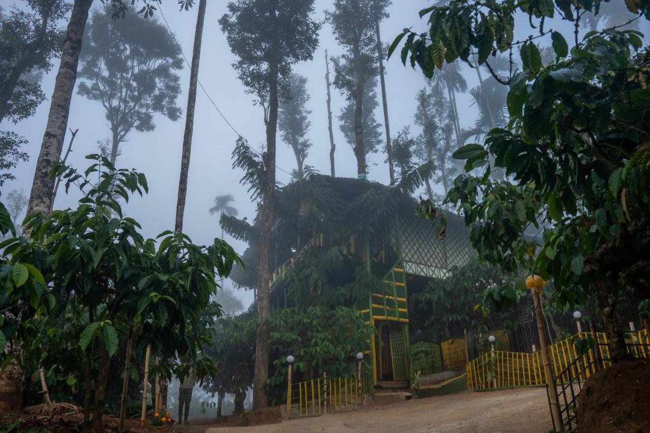 The Mountain Tree Home Wayanad Eksteriør bilde