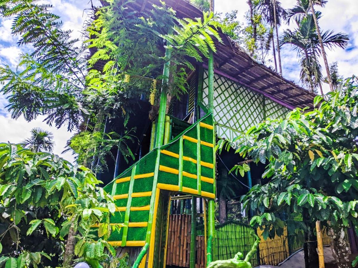 The Mountain Tree Home Wayanad Eksteriør bilde
